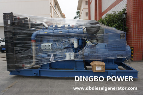 Angel Yeast (Liuzhou) Co., Ltd. purchased a 400kw Yuchai diesel generator set