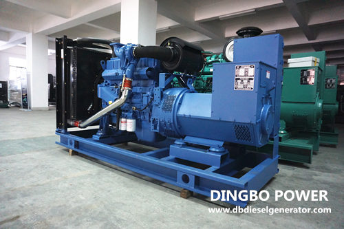 Emergency Diesel Generators