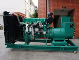 160kw 200kva Licaduo Diesel Generator Set