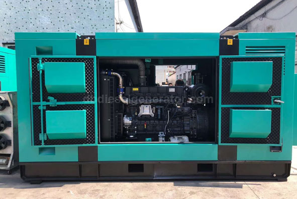 Canopy Genset