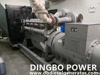 How to Choose Diesel Generators Units in The Face of Power Limit Crisis