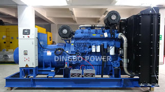 Dingbo Power Exported 800kW Yuchai Diesel Generator Set