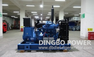 Gasoline Generator for House Buying Guide: How to Choose the Right Size Generator