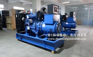 Best Oil for Diesel Generator: How to Choose the Right Type Oil?