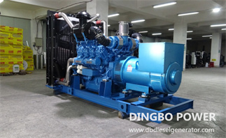 How to Ensure Diesel Generator Performance in Extreme Weather?