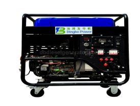 10KW Portable Gasoline Powered Inverter Generator, Dual Voltage
