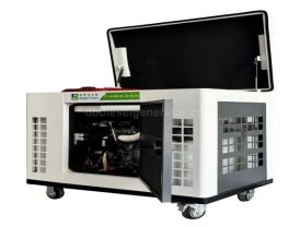 15KW Silent Twin-Cylinder Air-Cooled Gasoline Generator with Electric Start