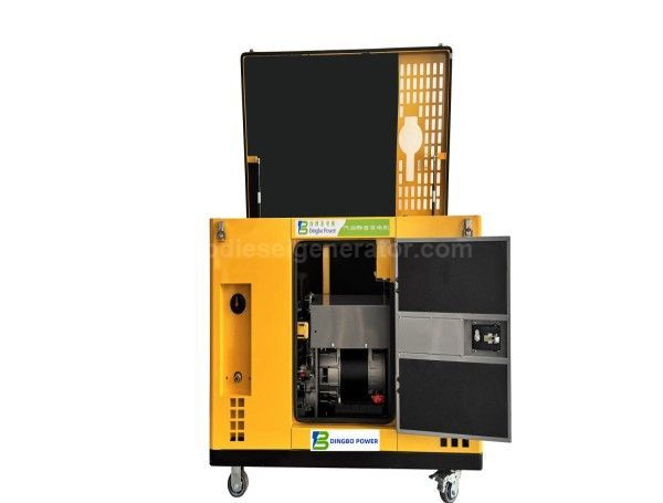 12kW Silent 2-Cylinder Dual-Fuel Gasoline and Natural Gas Portable Generator