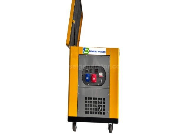 20kW Silent Electric Start Dual-Fuel Gasoline & Natural Gas Portable Generator