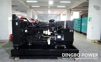 250KW 312.5kVA Cummins QSL8.9-G33 Diesel Generator Set Technical Specifications
