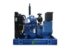 50kW 63kVA Yuchai Diesel Generator Set