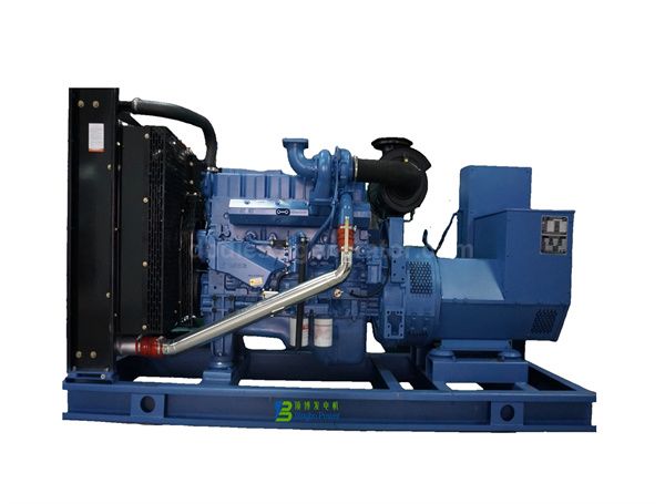 250kW 313kVA Yuchai Diesel Generator Set