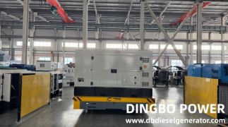 Details Determine Diesel Generator Safety