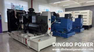 Which type of diesel generator set do you want