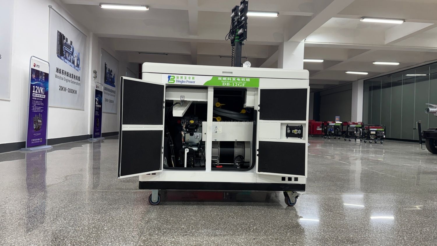 12KW 15kVA Silent Gasoline and NG Generator