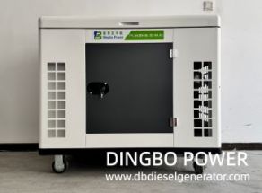 12kW Silent Gasoline and Natural Gas Generator Set For Multiple Applications